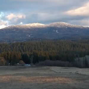 Meet your Posher, Hollie